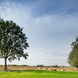 COTTAGE DE VINCK