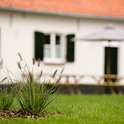 COTTAGE DE VINCK